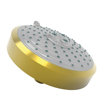 Newport Brass Multifunction Showerhead in Polished Brass Uncoated (Living) 2143-03N